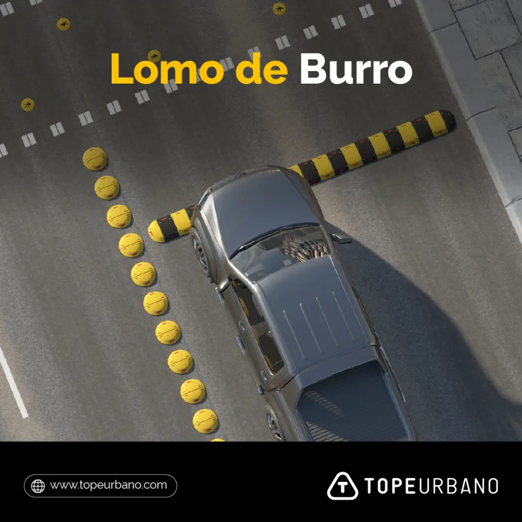 Lomo de Burro_Lomo de Burro Feed 1-01.webp
