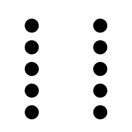 Kit Senda Peatonal Simple Premium - P120